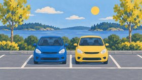 Illustration av en blå och en gul personbil i markerade parkeringsrutor med en sjö, skog och björkar i bakgrunden.