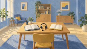 Translation Services